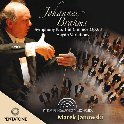 日本性感少妇性爱
